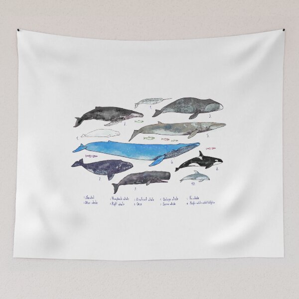 Item preview, Whales designed and sold by WildDot.