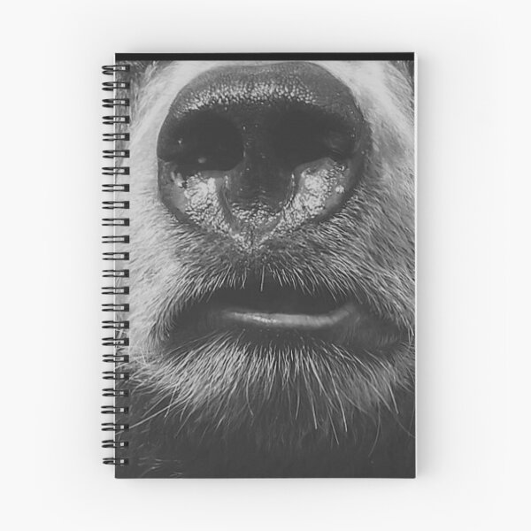 Item preview, black and white bear designed and sold by Randomlifestore.