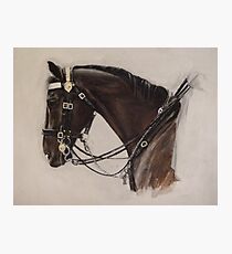 Dunkirk: Household Cavalry Horse Photographic Print