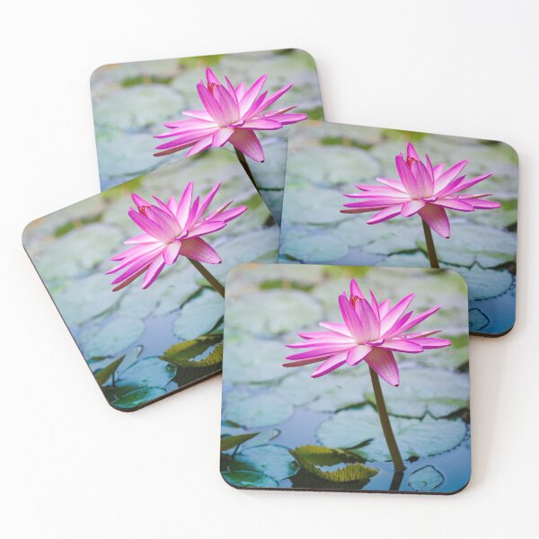 Item preview, Beautiful Pink Water Lily  designed and sold by CyaniRose.