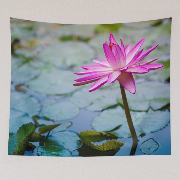 Item preview, Beautiful Pink Water Lily  designed and sold by CyaniRose.