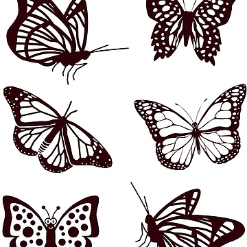 Imagen de la obra Butterfly Pack de Patternsonly