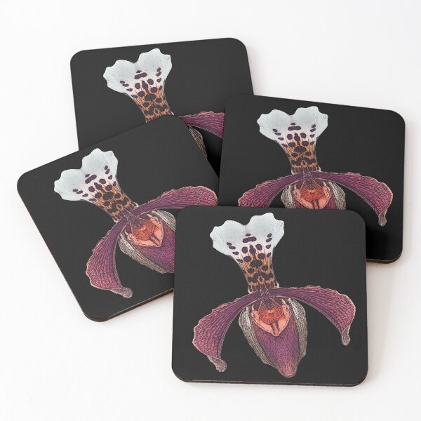 Item preview, lady's slipper orchid, noble flower designs wonderful plants, pretty mother's day gift designed and sold by Kirei-Lily.
