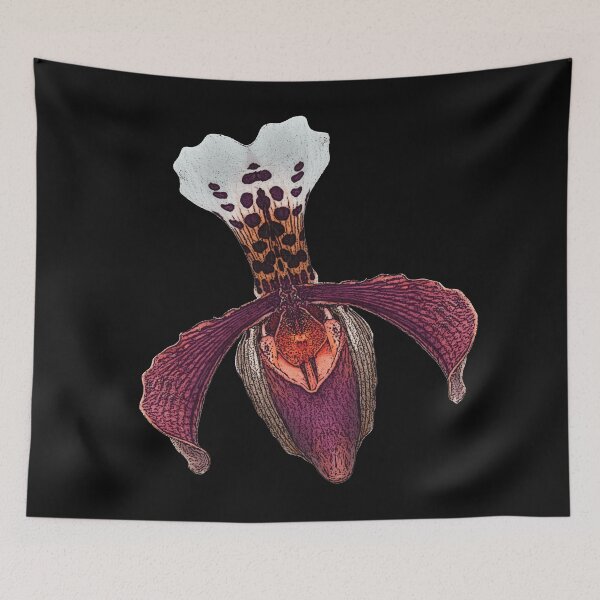 Item preview, lady's slipper orchid, noble flower designs wonderful plants, pretty mother's day gift designed and sold by Kirei-Lily.