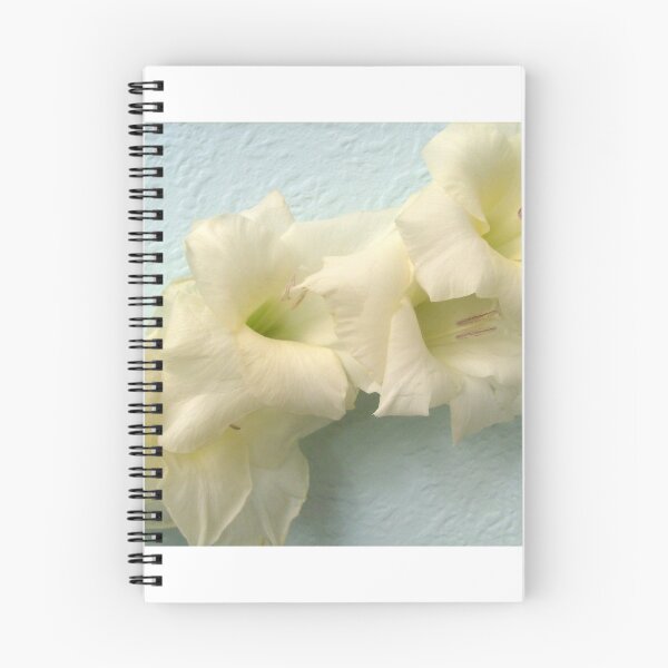 Item preview, Sword lily-gladiolus designed and sold by Ana Belaj.
