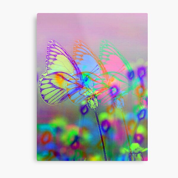 Fleeting Flutters Metal Print