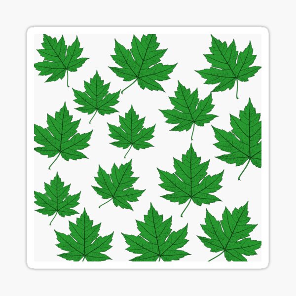 Green Leaves Sticker