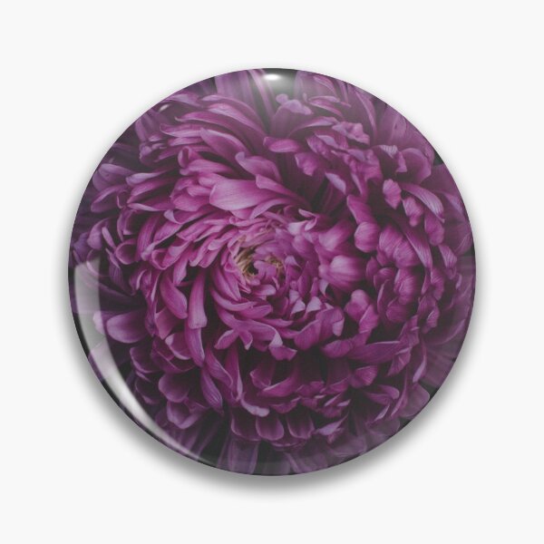 Artikelvorschau, Fiore Bratsche; Fiore Bratsche entworfen und verkauft von Robyter.