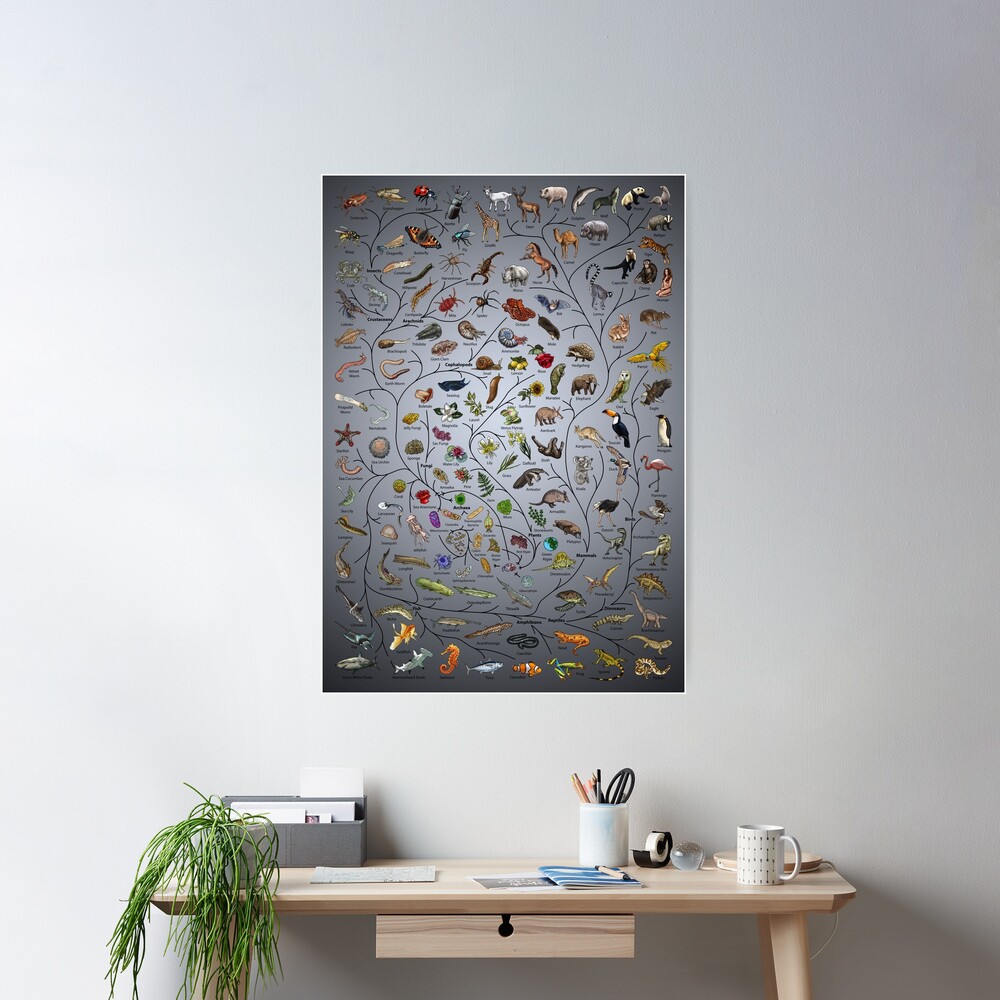 Tree of Life Poster - Animal and Plant Evolution - English with background Poster