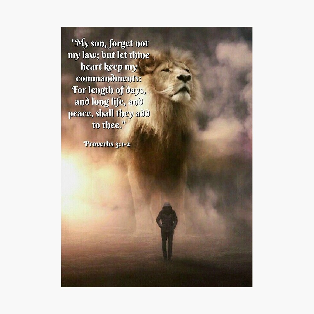 Póster «la actitud del león, citas sobre la vida, citas motivacionales,  citas del león para una vida fuerte» de bujji4frinds | Redbubble