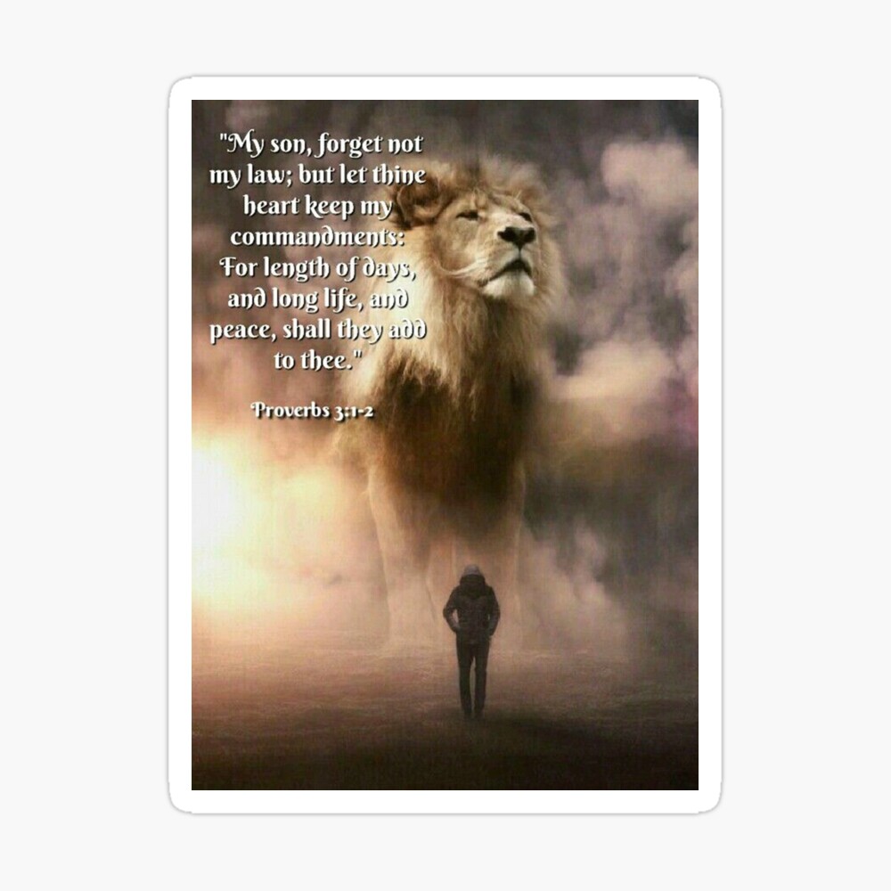 the lion attitude, quotes about life, motivational quotes, lion ...