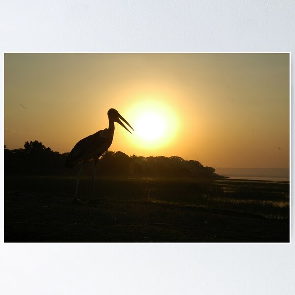 Item preview, Marabou Stork Bird Silhouette Sunrise Africa designed and sold by worldways.