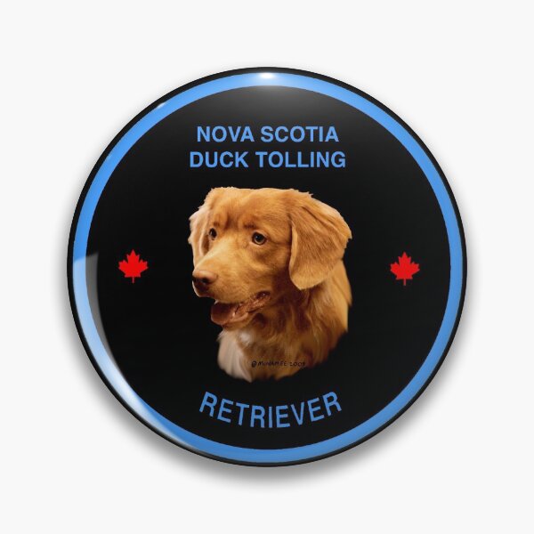 Item preview, Nova Scotia Duck Tolling Retriever round design designed and sold by Terry McNamee.