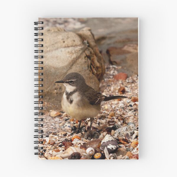 Item preview, Beach Bum Wagtail designed and sold by Chris Van Niekerk.