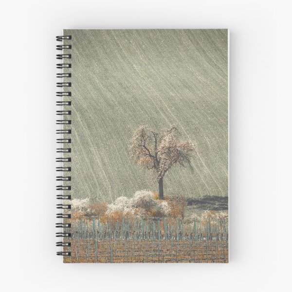 Item preview, Tree at the lonely edge designed and sold by Ingo Menhard.