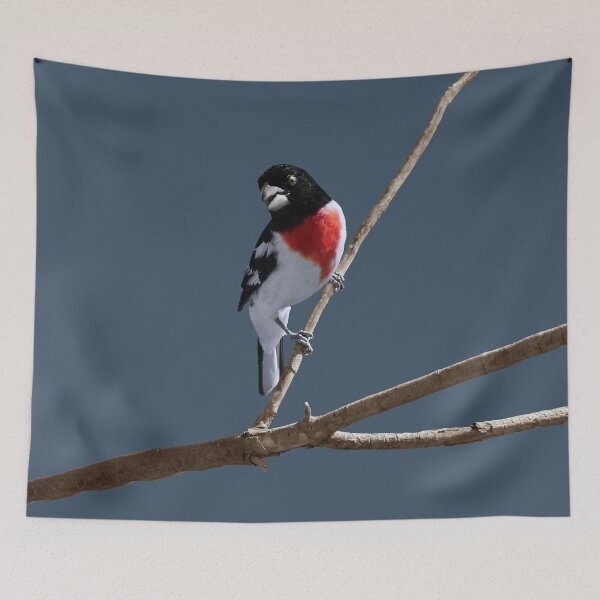 Item preview, Rose Breasted Grosbeak designed and sold by cherylorraine.