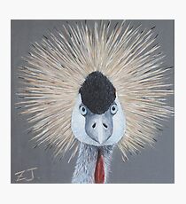 Bird Portrait - Crowned Crane Photographic Print