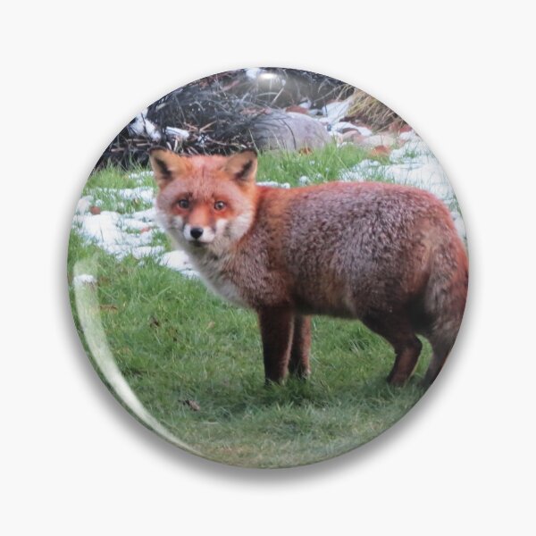 Item preview, red fox on a cold day designed and sold by Surreybirder.