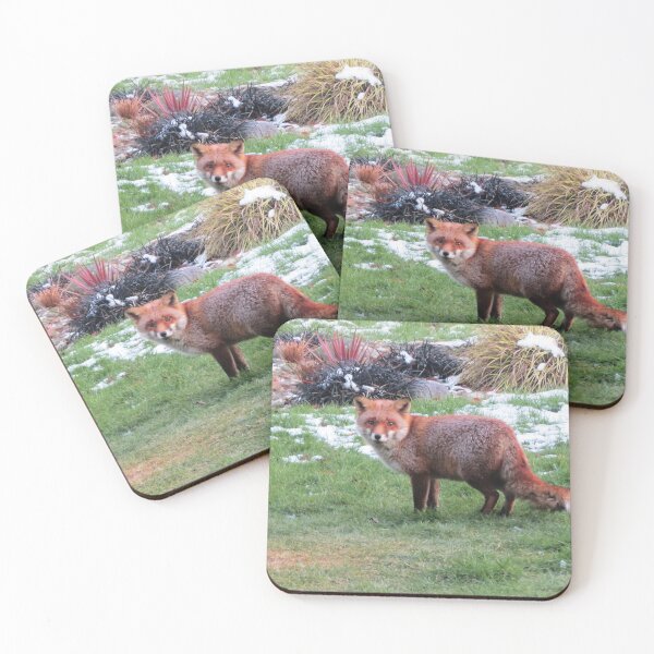Item preview, red fox on a cold day designed and sold by Surreybirder.