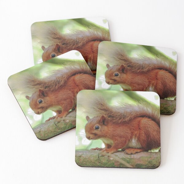 Item preview, baby red squirrel  designed and sold by Surreybirder.