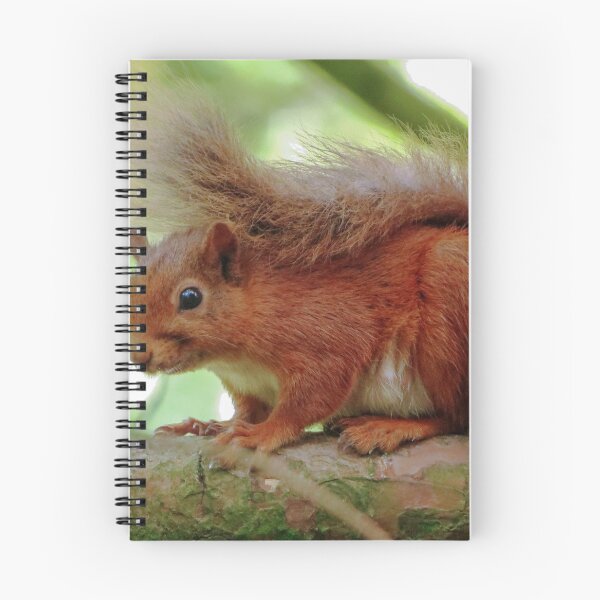 Item preview, baby red squirrel  designed and sold by Surreybirder.