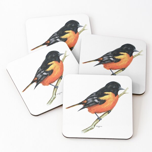 Artikelvorschau, Männlicher Baltimore Oriole entworfen und verkauft von Terry McNamee.