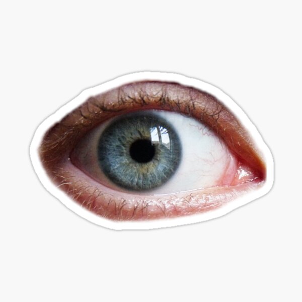 Eye PNG Image  Image icon, Dreamcore weirdcore, Png