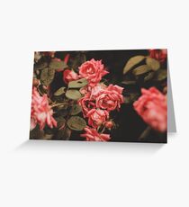 Vintage Roses Greeting Card