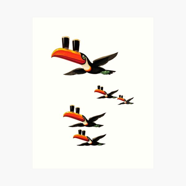 Toucan Wall Art for Sale