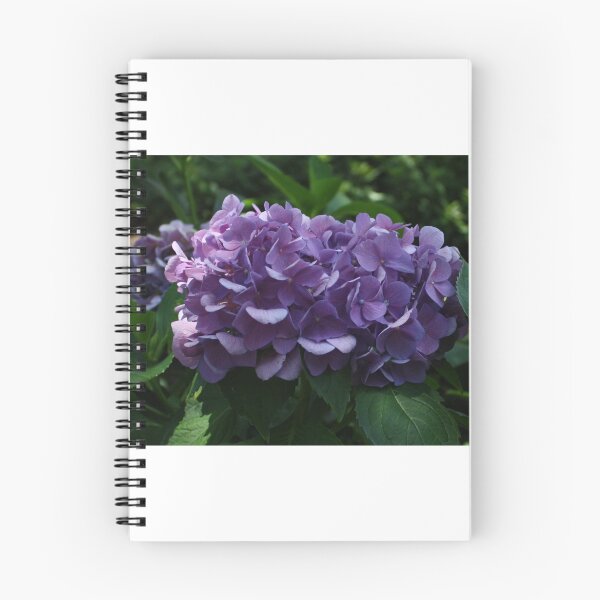 Item preview, Intense Purple Hydrangea  designed and sold by Toccoa.