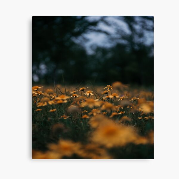 Item preview, Yellow country wildflowers designed and sold by JLPhotographer.