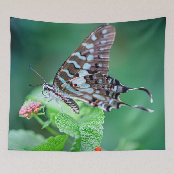 Item preview, Gorgeous Blue Swallowtail Butterfly designed and sold by CyaniRose.