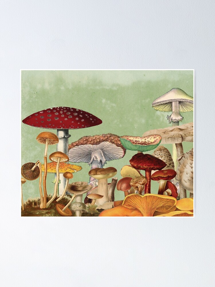 Mushroom X-large Fanny Pack Vintage Illustration Scientific 