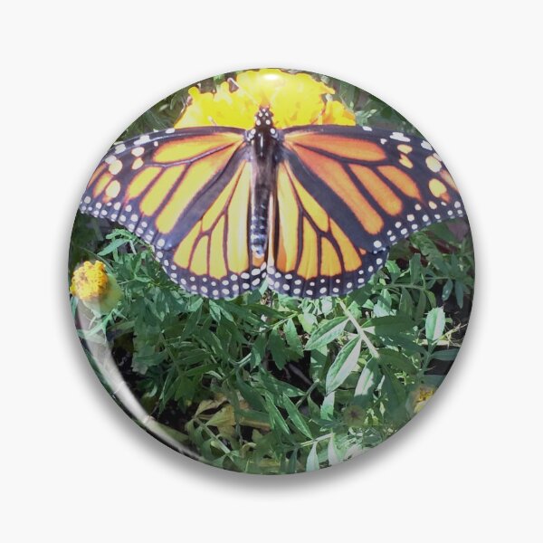 Item preview, Hello Butterfly designed and sold by poprockstarfish.