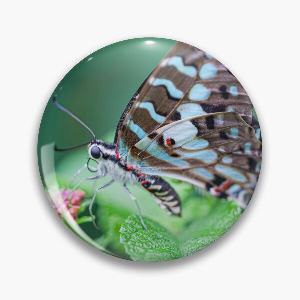 Item preview, Gorgeous Blue Swallowtail Butterfly designed and sold by CyaniRose.