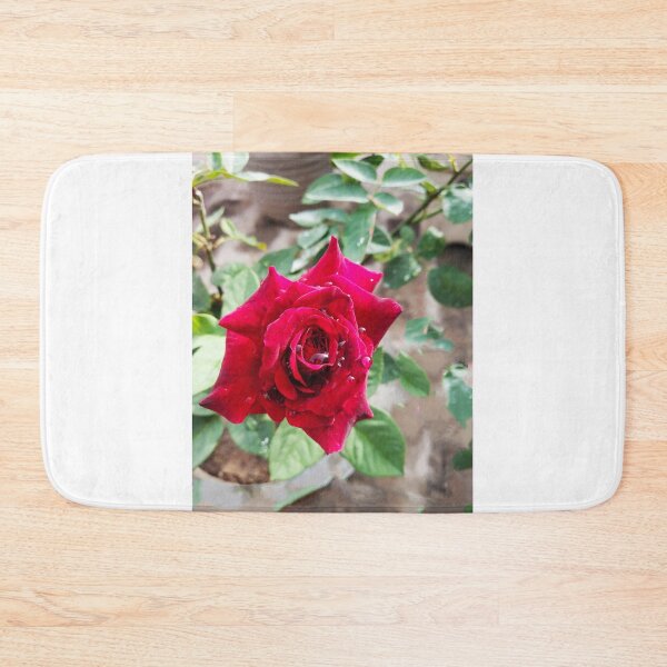 Item preview, beautiful red real rose  designed and sold by Shilpa Gupta.