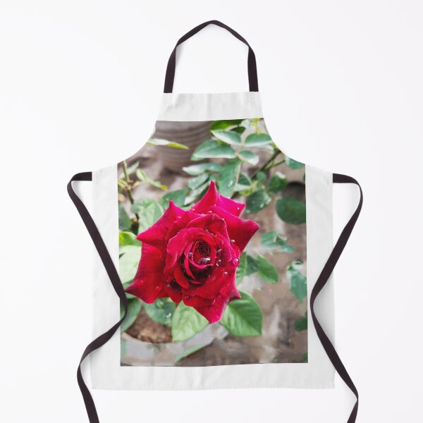 Item preview, beautiful red real rose designed and sold by Shilpa Gupta.