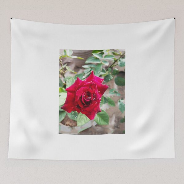 Item preview, beautiful red real rose  designed and sold by Shilpa Gupta.