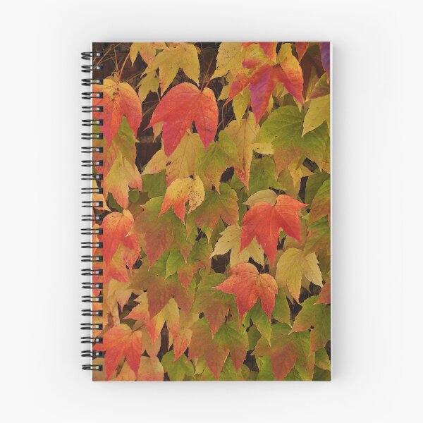 Item preview, The glorious colours of autumn designed and sold by Heather Thorsen.
