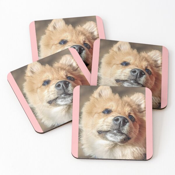 Item preview, Pomeranian puppy Kai designed and sold by Fluffycat2020.