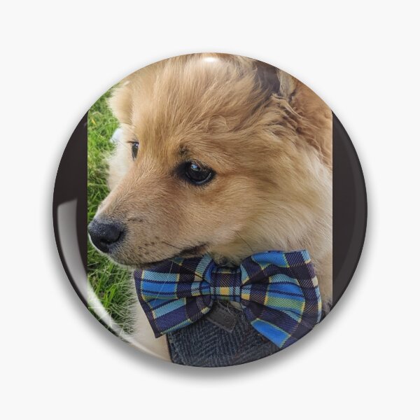 Item preview, Pomeranian puppy Kai designed and sold by Fluffycat2020.