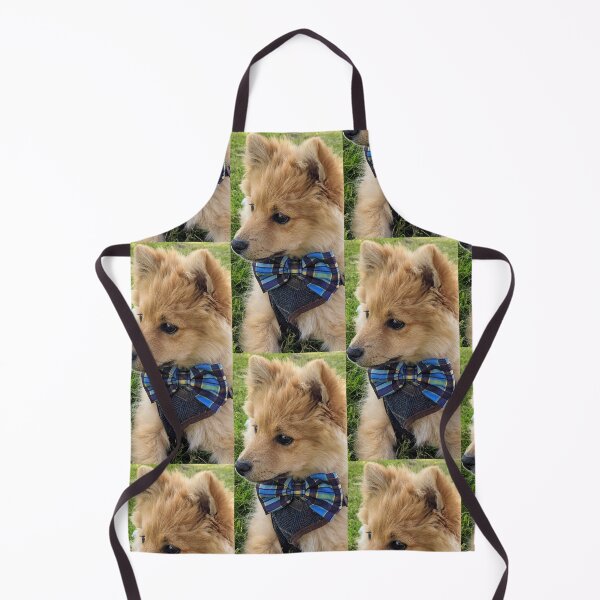 Item preview, Pomeranian puppy Kai designed and sold by Fluffycat2020.