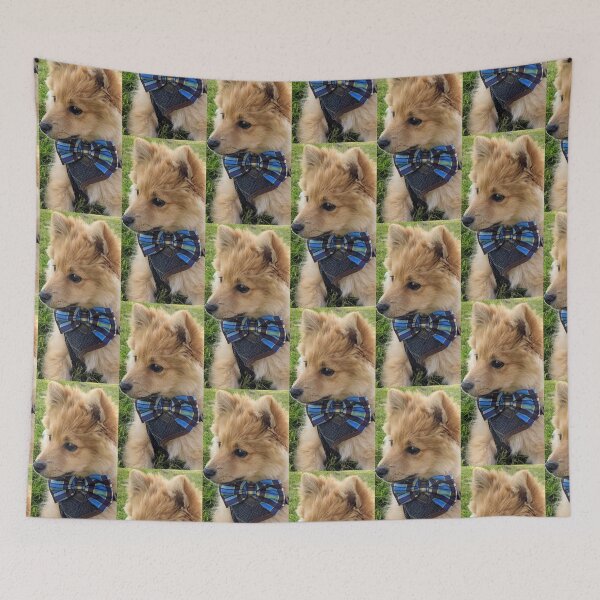 Item preview, Pomeranian puppy Kai designed and sold by Fluffycat2020.