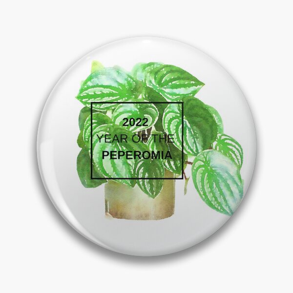 Item preview, 2022 is the Year of the Peperomia designed and sold by NationalGarden.