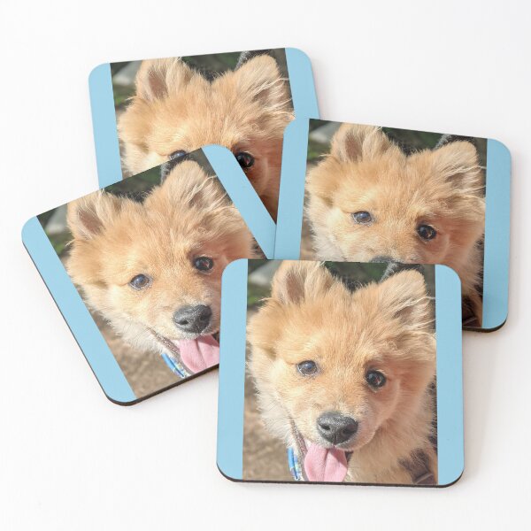 Item preview, Pomeranian puppy Kai designed and sold by Fluffycat2020.