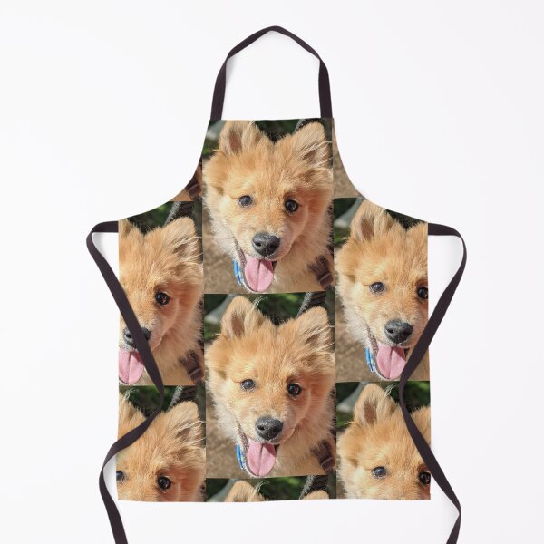 Item preview, Pomeranian puppy Kai designed and sold by Fluffycat2020.