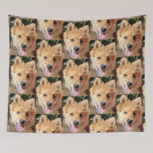 Item preview, Pomeranian puppy Kai designed and sold by Fluffycat2020.