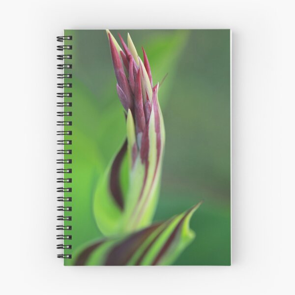 Item preview, Closed Canna designed and sold by StampCity.
