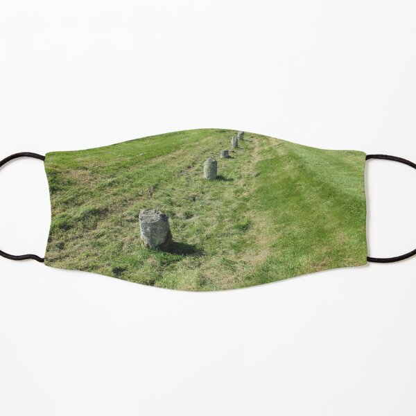 M.I. #120 |☼| Countrytide Breakers (Hadrian's Wall) Kids Mask