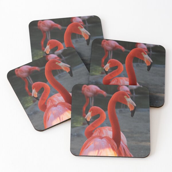 Item preview, Fancy Flamingo designed and sold by ArtsnCulture.